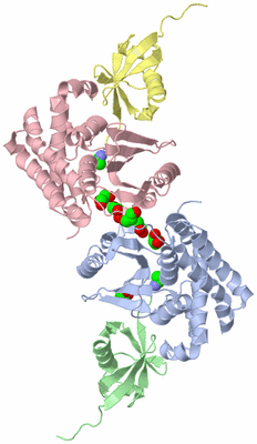 Image Biological Unit 3