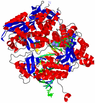 Image Asym./Biol. Unit - sites