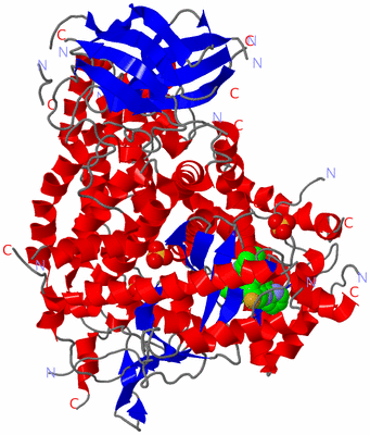 Image Asym./Biol. Unit