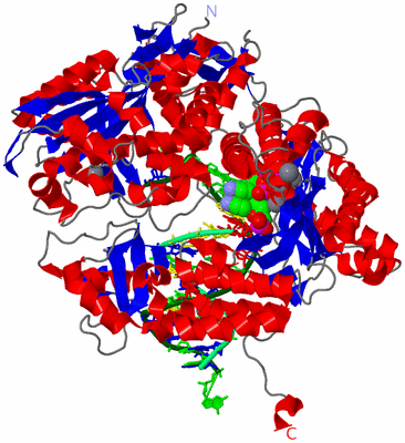 Image Asym./Biol. Unit