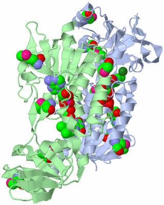 Image Biological Unit 1