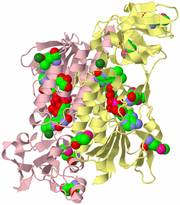 Image Biological Unit 2