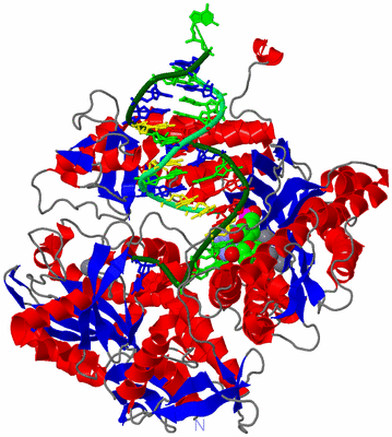 Image Asym./Biol. Unit