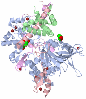 Image Asym./Biol. Unit