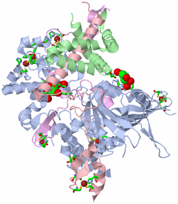 Image Asym./Biol. Unit - sites