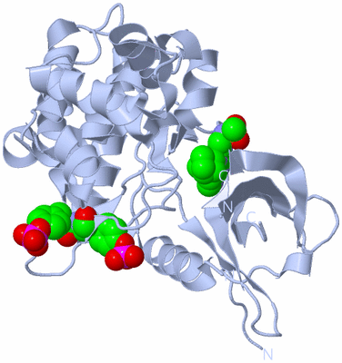 Image Biological Unit 1