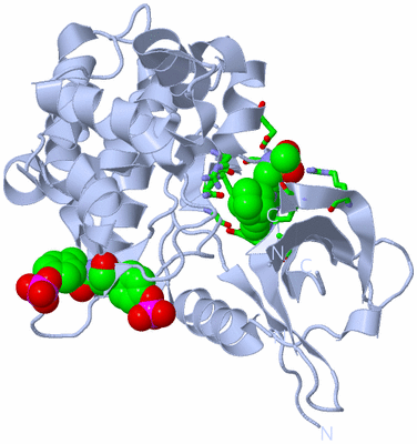 Image Biol. Unit 1 - sites