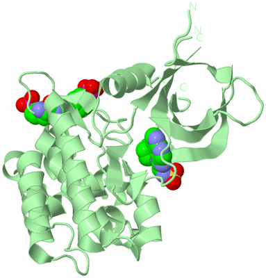 Image Biological Unit 2