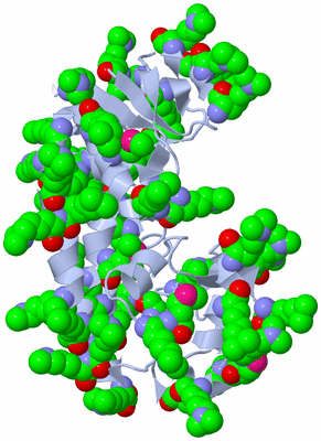 Image Biological Unit 1