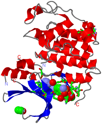 Image Asym./Biol. Unit - sites