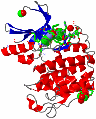 Image Asym./Biol. Unit - sites