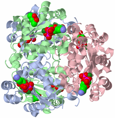 Image Biological Unit 1