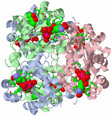 Image Biol. Unit 1 - sites