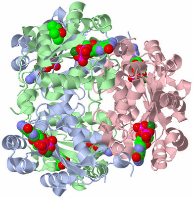 Image Biological Unit 1