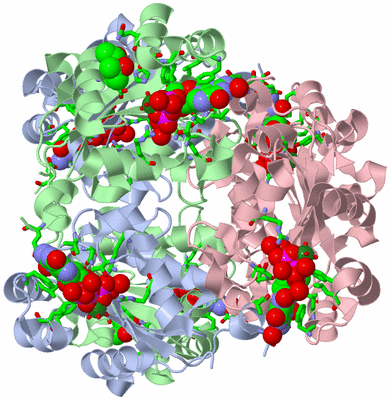 Image Biol. Unit 1 - sites