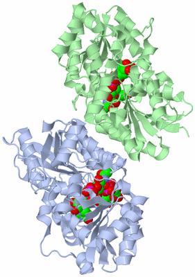 Image Asym./Biol. Unit