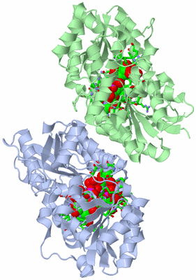 Image Asym./Biol. Unit - sites