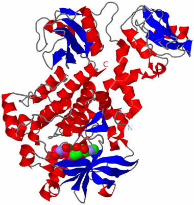 Image Asym./Biol. Unit