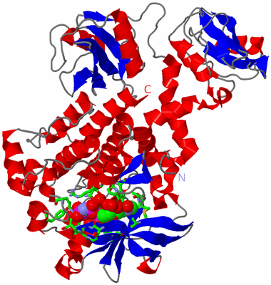 Image Asym./Biol. Unit - sites