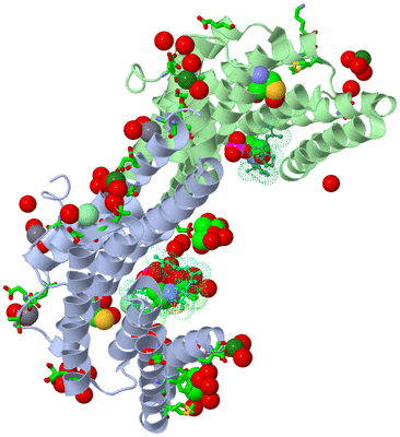 Image Biol. Unit 1 - sites