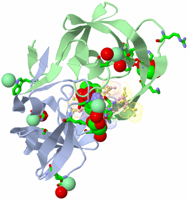 Image Asym./Biol. Unit - sites