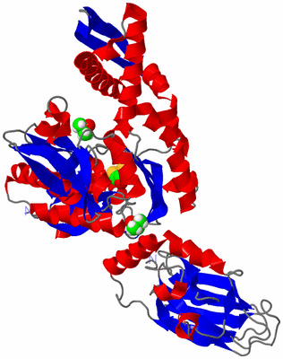 Image Asym./Biol. Unit