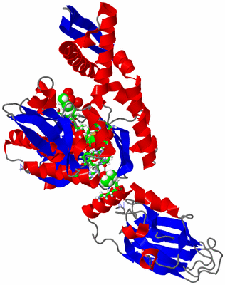 Image Asym./Biol. Unit - sites