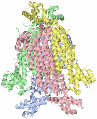 Image Asym./Biol. Unit