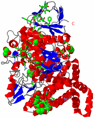 Image Asym./Biol. Unit - sites