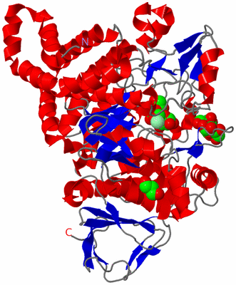 Image Asym./Biol. Unit