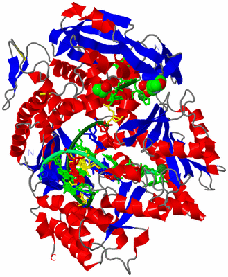 Image Asym./Biol. Unit