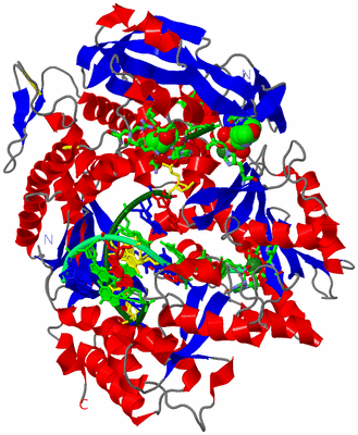 Image Asym./Biol. Unit - sites