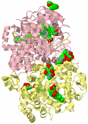 Image Biological Unit 2