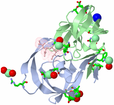 Image Asym./Biol. Unit - sites