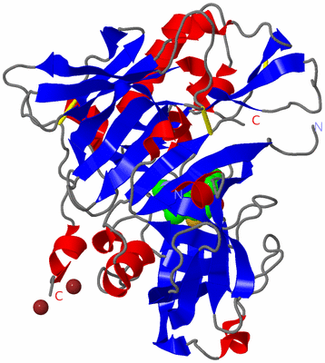 Image Asym./Biol. Unit