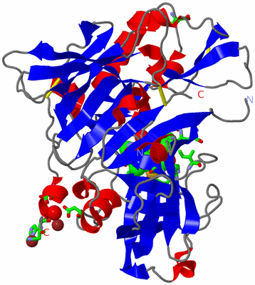 Image Asym./Biol. Unit - sites