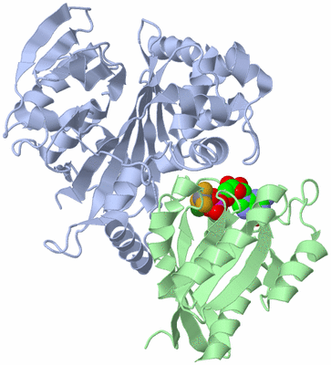 Image Biological Unit 1