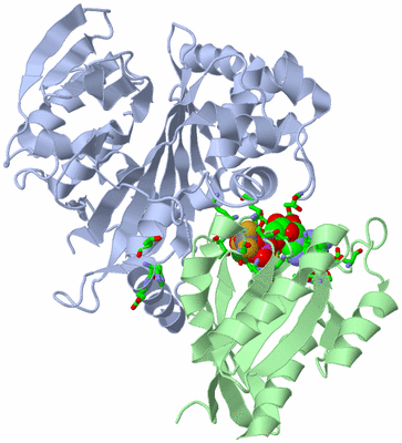 Image Biol. Unit 1 - sites