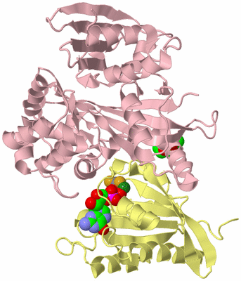 Image Biological Unit 2