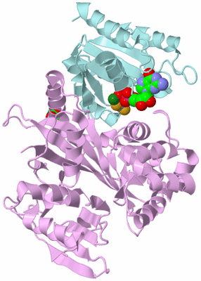 Image Biological Unit 3