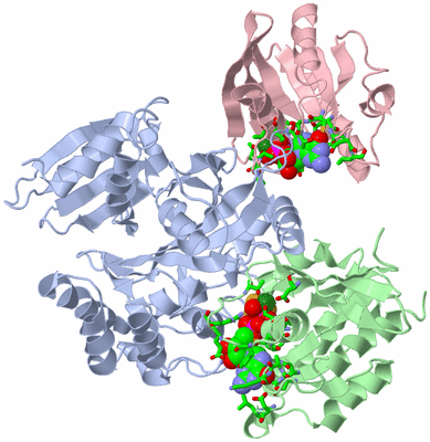 Image Biol. Unit 1 - sites