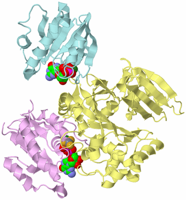 Image Biological Unit 2