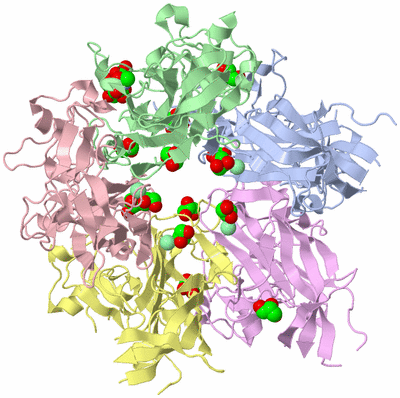 Image Biological Unit 1