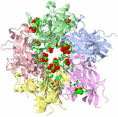 Image Biol. Unit 1 - sites