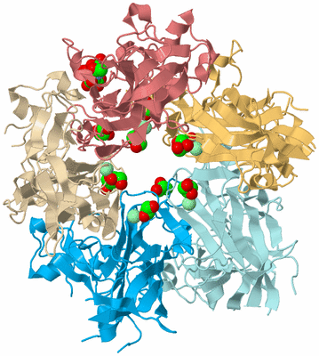 Image Biological Unit 2