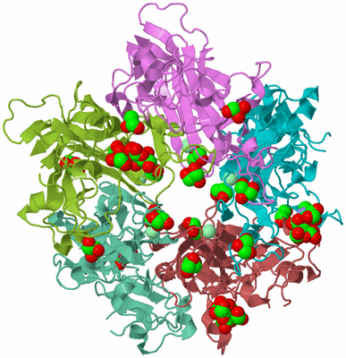 Image Biological Unit 3