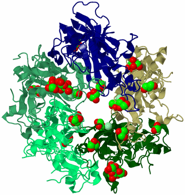 Image Biological Unit 4