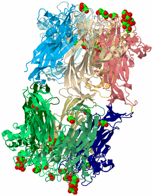 Image Biological Unit 6