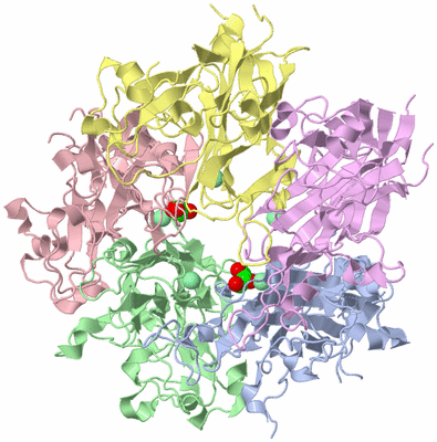 Image Biological Unit 1