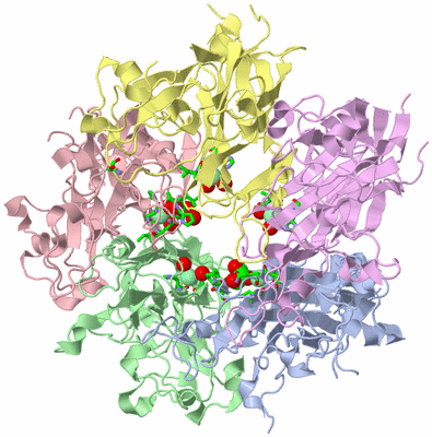 Image Biol. Unit 1 - sites